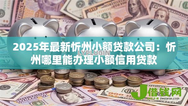 2025年最新忻州小额贷款公司：忻州哪里能办理小额信用贷款