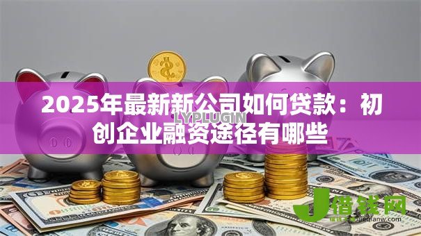 2025年最新新公司如何贷款:初创企业融资途径有哪些 2025年最新新公司如何贷款:初创企业融资途径有哪些