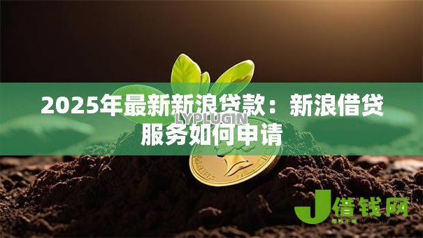 2025年最新新浪贷款：新浪借贷服务如何申请