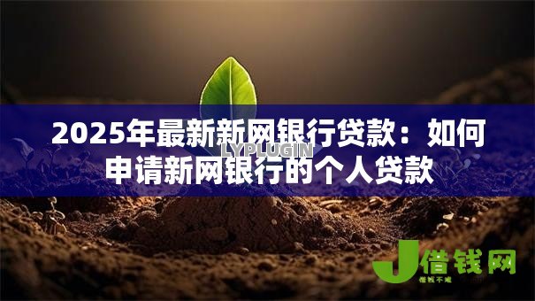 2025年最新新网银行贷款:如何申请新网银行的个人贷款 2025年最新新网银行贷款:如何申请新网银行的个人贷款