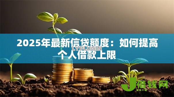 2025年最新信贷额度:如何提高个人借款上限 2025年最新信贷额度:如何提高个人借款上限