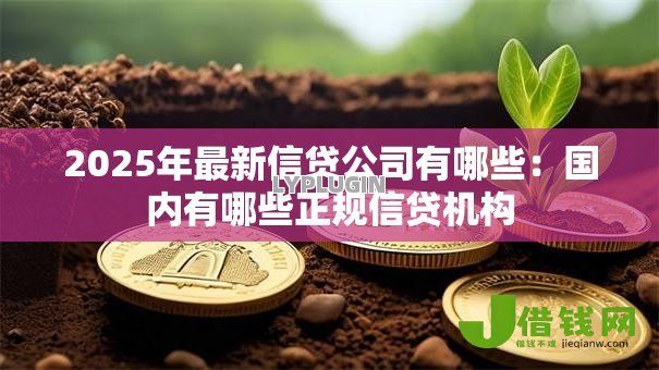 2025年最新信贷公司有哪些：国内有哪些正规信贷机构