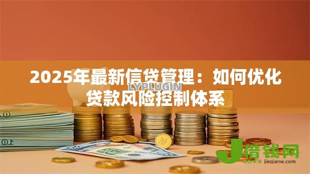 2025年最新信贷管理:如何优化贷款风险控制体系 2025年最新信贷管理:如何优化贷款风险控制体系