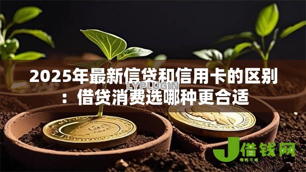 2025年最新信贷和信用卡的区别:借贷消费选哪种更合适 2025年最新信贷和信用卡的区别:借贷消费选哪种更合适