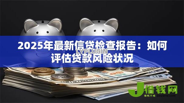 2025年最新信贷检查报告：如何评估贷款风险状况