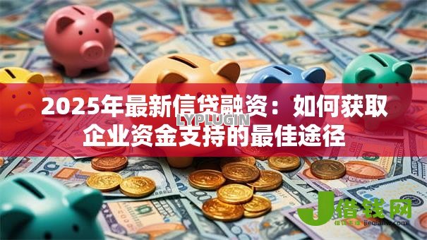 2025年最新信贷融资:如何获取企业资金支持的最佳途径 2025年最新信贷融资:如何获取企业资金支持的最佳途径