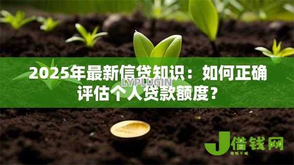 2025年最新信贷知识:如何正确评估个人贷款额度? 2025年最新信贷知识:如何正确评估个人贷款额度?