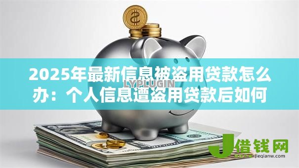 2025年最新信息被盗用贷款怎么办:个人信息遭盗用贷款后如何维权 2025年最新信息被盗用贷款怎么办:个人信息遭盗用贷款后如何维权