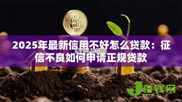 2025年最新信用不好怎么贷款：征信不良如何申请正规贷款