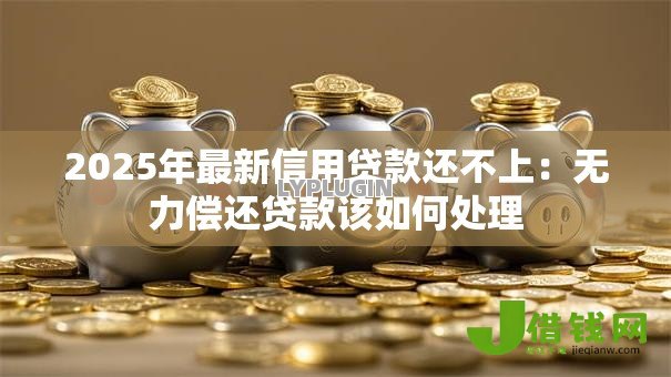 2025年最新信用贷款还不上:无力偿还贷款该如何处理 2025年最新信用贷款还不上:无力偿还贷款该如何处理