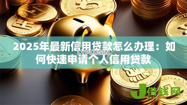 2025年最新信用贷款怎么办理：如何快速申请个人信用贷款