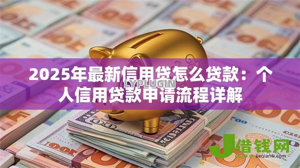 2025年最新信用贷怎么贷款：个人信用贷款申请流程详解