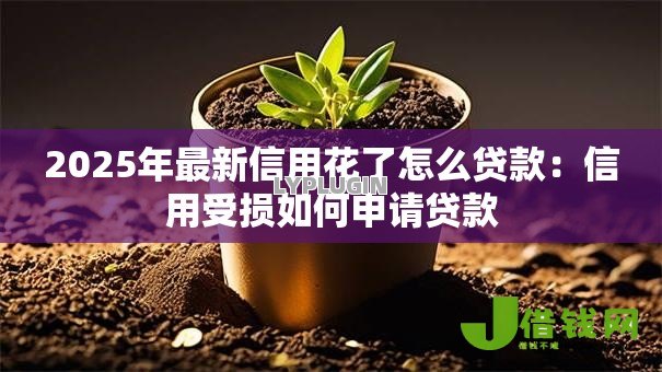 2025年最新信用花了怎么贷款:信用受损如何申请贷款 2025年最新信用花了怎么贷款:信用受损如何申请贷款