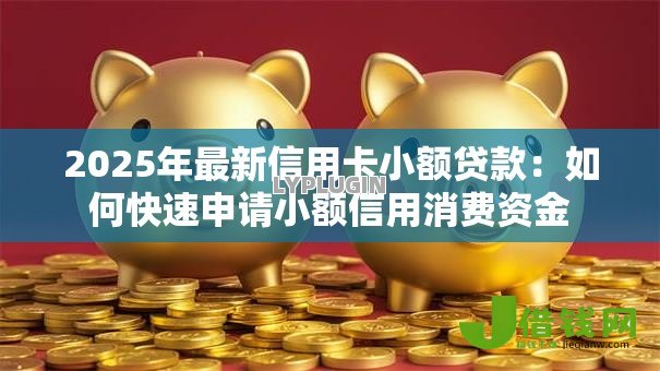 2025年最新信用卡小额贷款:如何快速申请小额信用消费资金 2025年最新信用卡小额贷款:如何快速申请小额信用消费资金