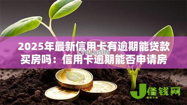 2025年最新信用卡有逾期能贷款买房吗：信用卡逾期能否申请房贷