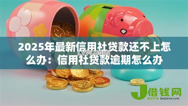 2025年最新信用社贷款还不上怎么办：信用社贷款逾期怎么办
