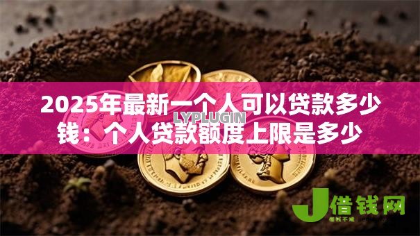 2025年最新一个人可以贷款多少钱:个人贷款额度上限是多少 2025年最新一个人可以贷款多少钱:个人贷款额度上限是多少