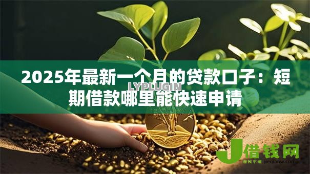 2025年最新一个月的贷款口子：短期借款哪里能快速申请