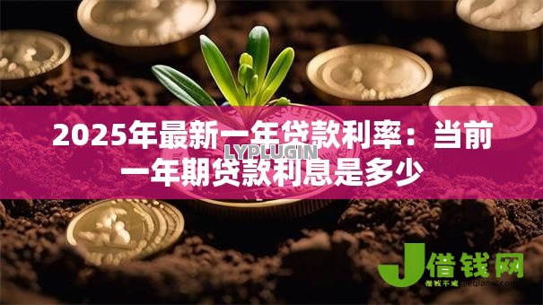 2025年最新一年贷款利率：当前一年期贷款利息是多少