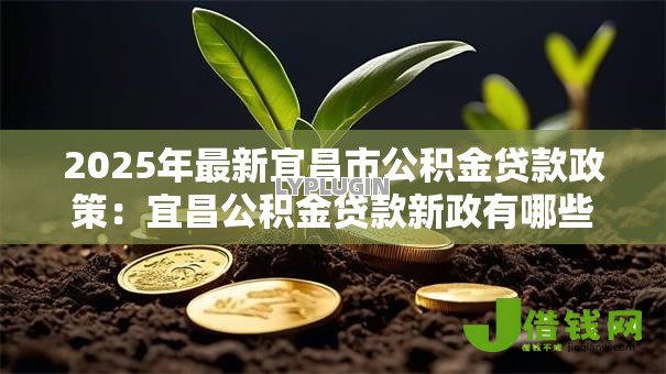 2025年最新宜昌市公积金贷款政策：宜昌公积金贷款新政有哪些调整