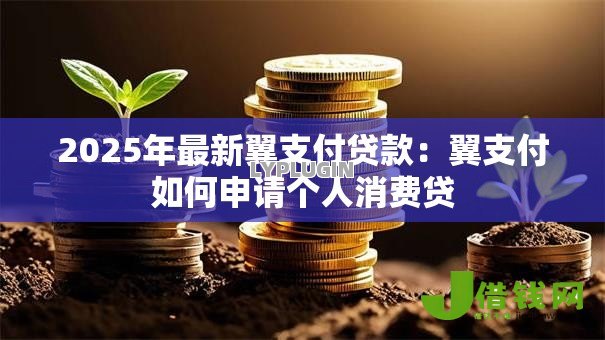 2025年最新翼支付贷款:翼支付如何申请个人消费贷 2025年最新翼支付贷款:翼支付如何申请个人消费贷