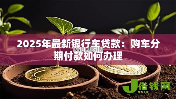 2025年最新银行车贷款:购车分期付款如何办理 2025年最新银行车贷款:购车分期付款如何办理