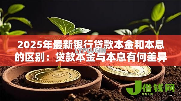 2025年最新银行贷款本金和本息的区别:贷款本金与本息有何差异 2025年最新银行贷款本金和本息的区别:贷款本金与本息有何差异