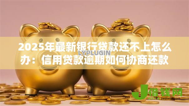 2025年最新银行贷款还不上怎么办:信用贷款逾期如何协商还款 2025年最新银行贷款还不上怎么办:信用贷款逾期如何协商还款