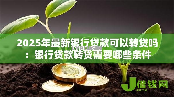 2025年最新银行贷款可以转贷吗:银行贷款转贷需要哪些条件 2025年最新银行贷款可以转贷吗:银行贷款转贷需要哪些条件