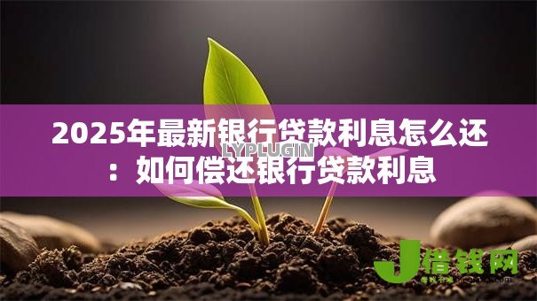 2025年最新银行贷款利息怎么还:如何偿还银行贷款利息 2025年最新银行贷款利息怎么还:如何偿还银行贷款利息