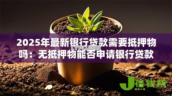2025年最新银行贷款需要抵押物吗:无抵押物能否申请银行贷款 2025年最新银行贷款需要抵押物吗:无抵押物能否申请银行贷款