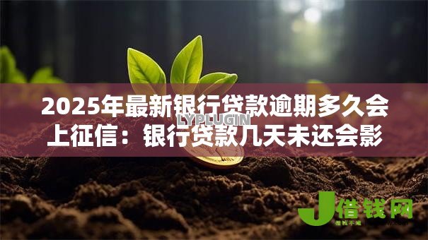 2025年最新银行贷款逾期多久会上征信：银行贷款几天未还会影响征信