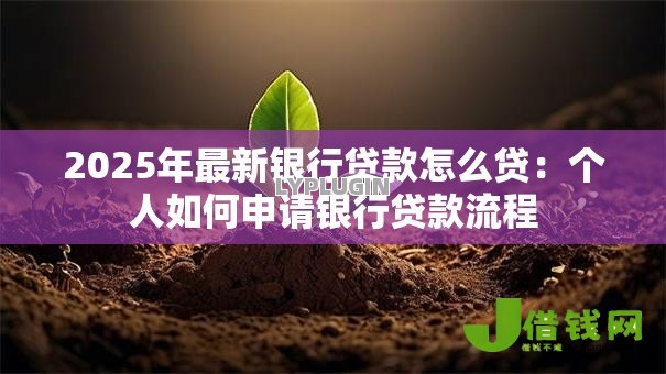 2025年最新银行贷款怎么贷:个人如何申请银行贷款流程 2025年最新银行贷款怎么贷:个人如何申请银行贷款流程