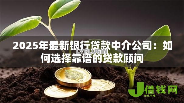 2025年最新银行贷款中介公司:如何选择靠谱的贷款顾问 2025年最新银行贷款中介公司:如何选择靠谱的贷款顾问