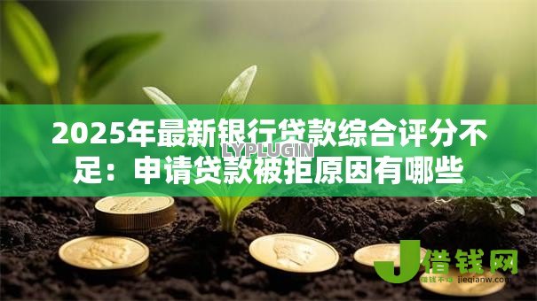 2025年最新银行贷款综合评分不足：申请贷款被拒原因有哪些