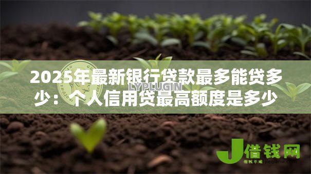 2025年最新银行贷款最多能贷多少:个人信用贷最高额度是多少? 2025年最新银行贷款最多能贷多少:个人信用贷最高额度是多少?