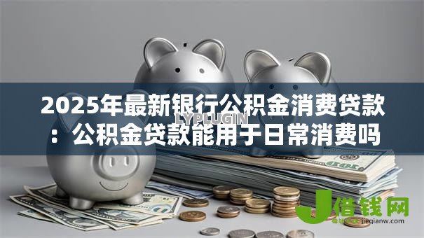 2025年最新银行公积金消费贷款：公积金贷款能用于日常消费吗