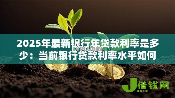 2025年最新银行年贷款利率是多少：当前银行贷款利率水平如何