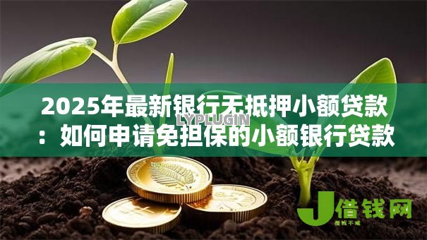 2025年最新银行无抵押小额贷款:如何申请免担保的小额银行贷款 2025年最新银行无抵押小额贷款:如何申请免担保的小额银行贷款