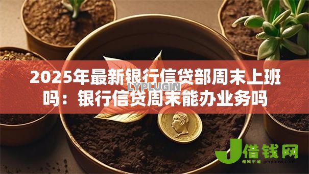 2025年最新银行信贷部周末上班吗：银行信贷周末能办业务吗