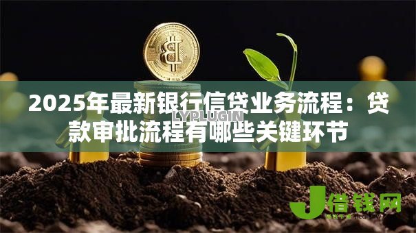 2025年最新银行信贷业务流程:贷款审批流程有哪些关键环节 2025年最新银行信贷业务流程:贷款审批流程有哪些关键环节