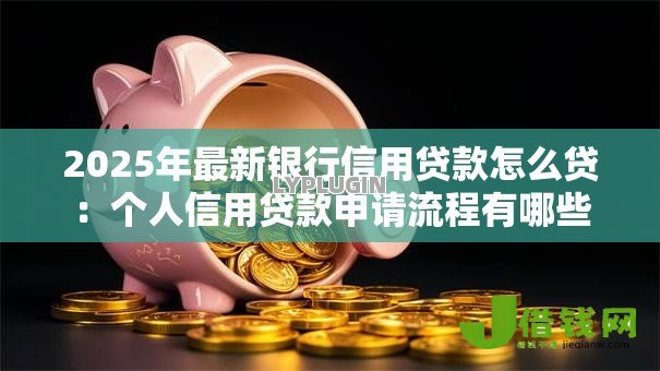 2025年最新银行信用贷款怎么贷:个人信用贷款申请流程有哪些 2025年最新银行信用贷款怎么贷:个人信用贷款申请流程有哪些