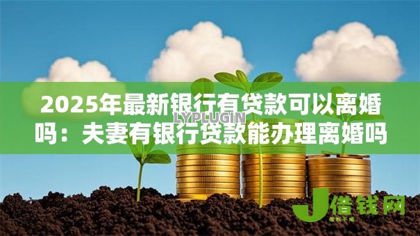2025年最新银行有贷款可以离婚吗:夫妻有银行贷款能办理离婚吗 2025年最新银行有贷款可以离婚吗:夫妻有银行贷款能办理离婚吗