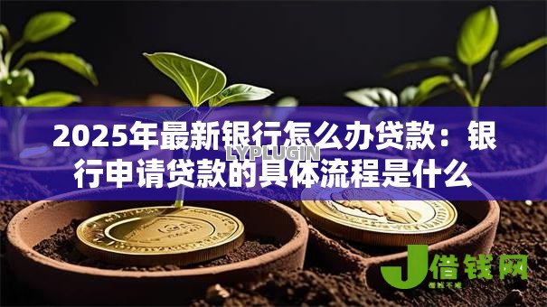 2025年最新银行怎么办贷款：银行申请贷款的具体流程是什么