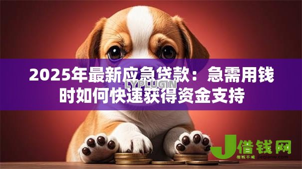2025年最新应急贷款:急需用钱时如何快速获得资金支持 2025年最新应急贷款:急需用钱时如何快速获得资金支持