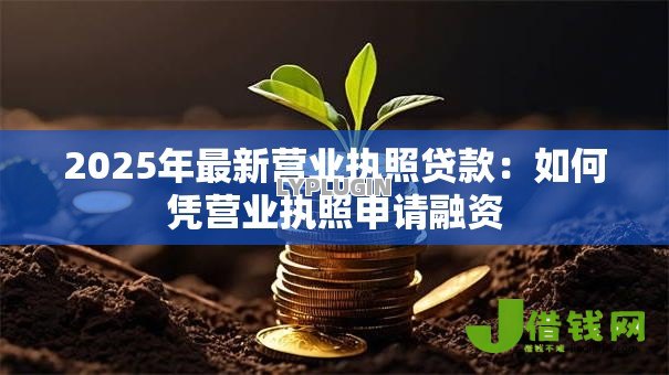 2025年最新营业执照贷款:如何凭营业执照申请融资 2025年最新营业执照贷款:如何凭营业执照申请融资