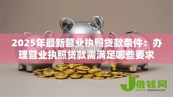 2025年最新营业执照贷款条件:办理营业执照贷款需满足哪些要求 2025年最新营业执照贷款条件:办理营业执照贷款需满足哪些要求