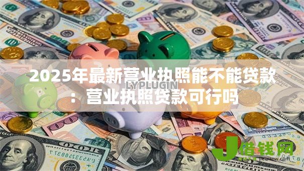 2025年最新营业执照能不能贷款：营业执照贷款可行吗