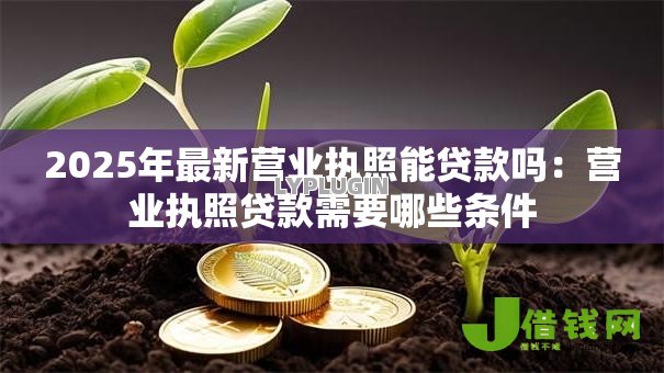 2025年最新营业执照能贷款吗:营业执照贷款需要哪些条件 2025年最新营业执照能贷款吗:营业执照贷款需要哪些条件