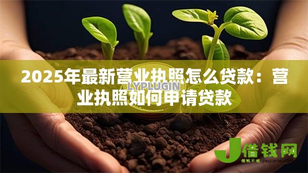 2025年最新营业执照怎么贷款：营业执照如何申请贷款